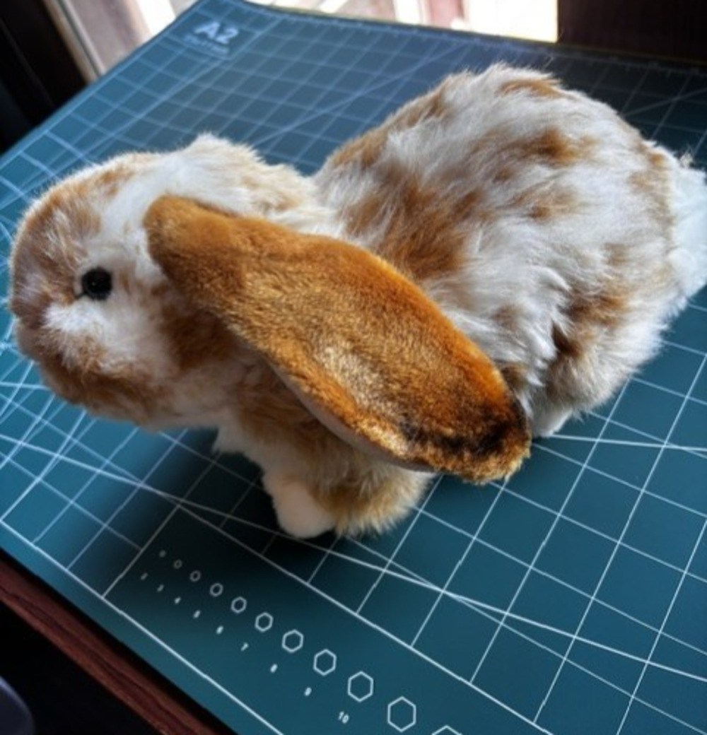 Webkinz Signature Lop Bunny WKS1025 Ganz Plush Rabbit 2011 Retired Rare No Code